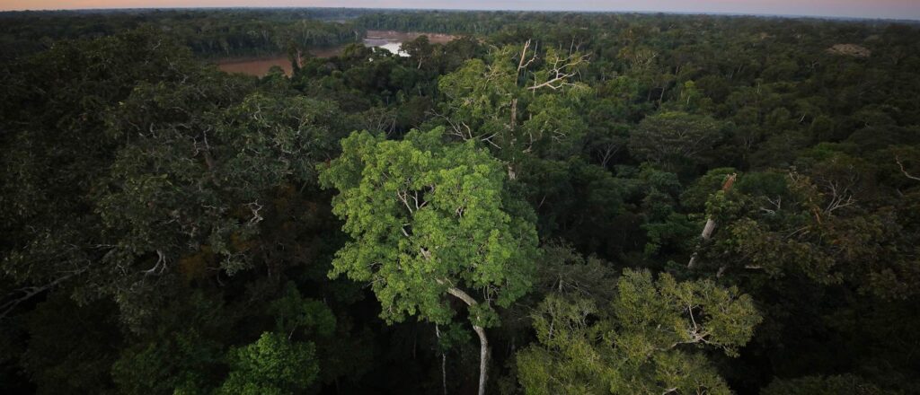 Amazon Rainforest