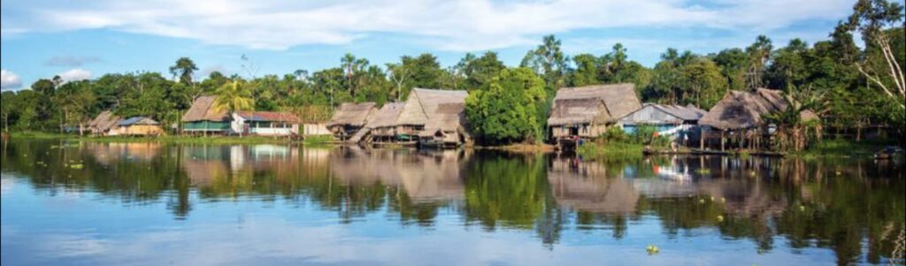 Forest River Iquitos