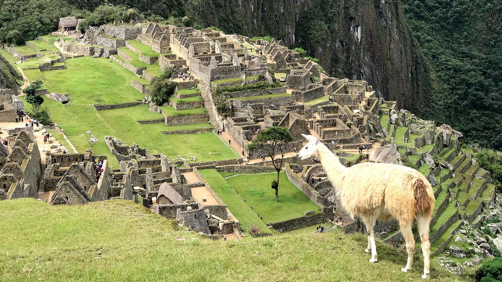 machu picchu vacation packages