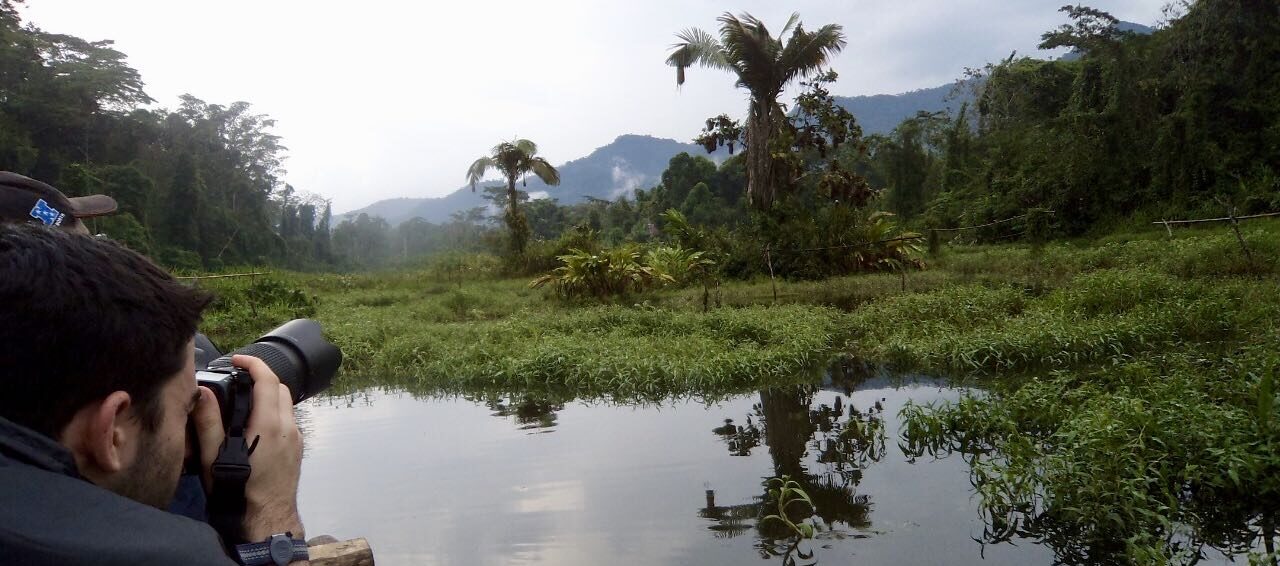 amazon rainforest