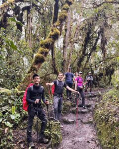 Best Inca Trail