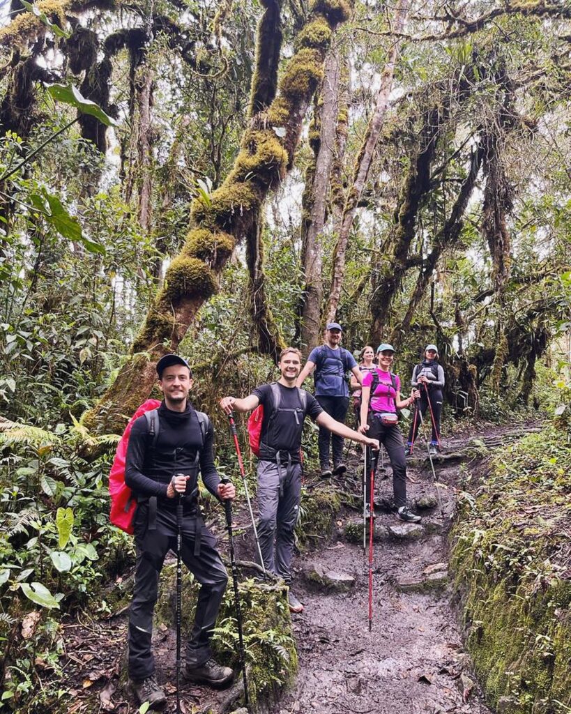 Best Inca Trail